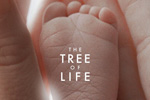 The Tree of Life (2011)