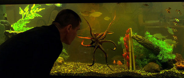 Oldboy: lichte ode aan het origineel...