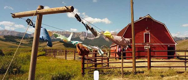 The Young and Prodigious T.S. Spivet: van het prachtige Montana...