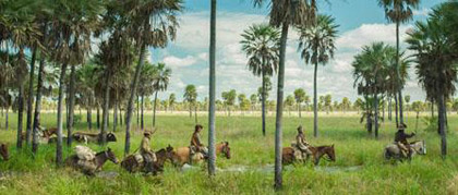 Zama-recensie: visueel overweldigend en wederom een intrigerende film over het in mijn ogen interessantste continent ter wereld...