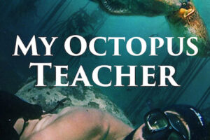 My Octopus Teacher