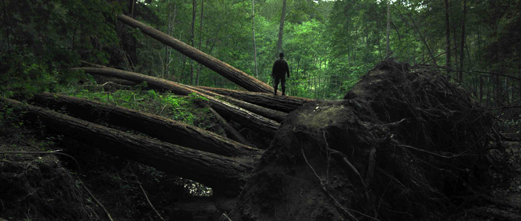 Sator-recensie: veel onafhankelijker gemaakt krijg je ze niet, maar wat een heerlijke 'lurking'-folk-horror-sfeer bevat deze film zeg, ook al 'begrijp' ik er (nog) niet veel van...