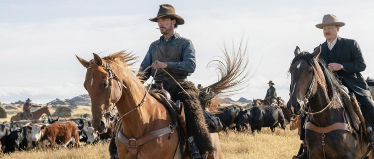 The Power of the Dog-recensie: 'slow-burner' die tot 'arthouse-ontploffing' komt en daarmee een zeer sterk inzicht biedt in 'toxic masculinity'...