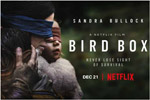 Bird Box